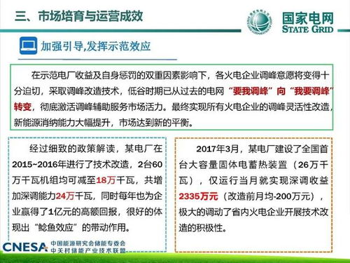 辽宁电网调峰辅助服务市场运行实践与展望
