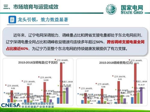 辽宁电网调峰辅助服务市场运行实践与展望